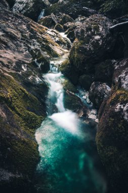 Kristal berrak suyla ormandaki şelale