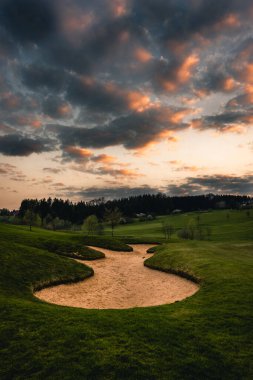 Gökyüzünün altındaki bulutlu ağaçların manzarası