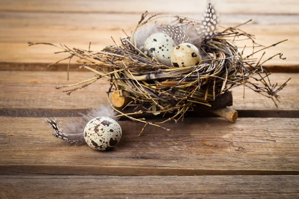 Nido con huevos de codorniz sobre fondo de madera — Foto de Stock