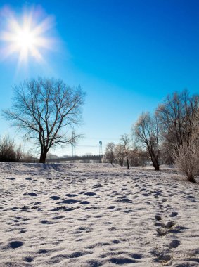 Güzel kış manzarası
