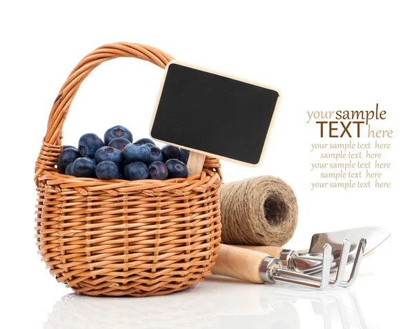 El arándano en la cesta al tablero para el texto, sobre el fondo blanco —  Fotos de Stock