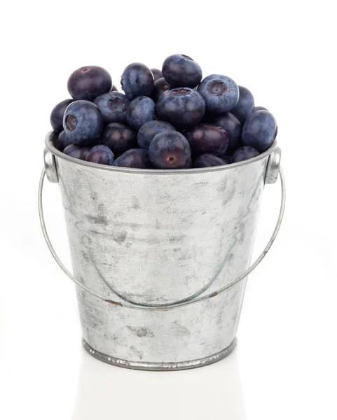 成熟的金属桶，白色背景上的蓝莓 — 图库照片