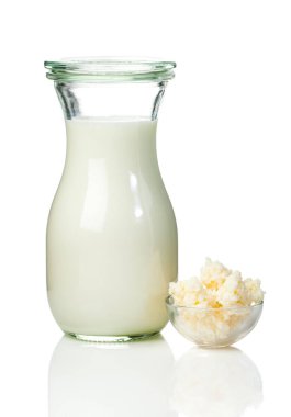 Süt kefir taneleri.