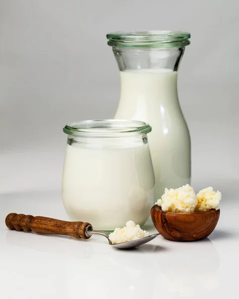 Grani di kefir di latte . — Foto Stock