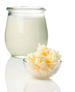 Süt kefir taneleri. süt kefir veya b lgaros, fermente süt olduğunu