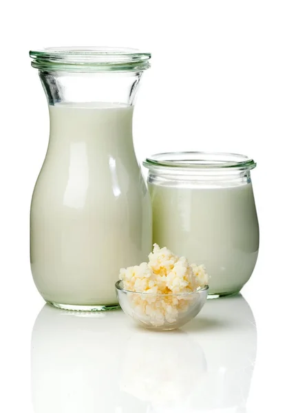 Milchkefir-Körner. Milch kefir, oder b� lgaros, ist eine fermentierte Milch — Stockfoto