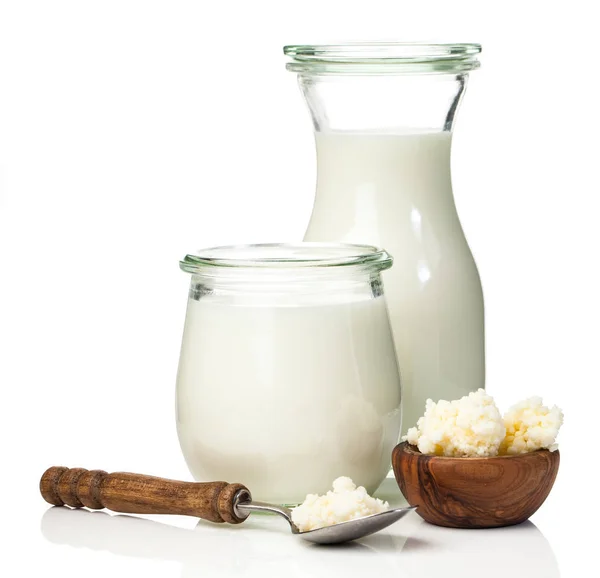 Milchkefir-Körner. Milch kefir, oder b� lgaros, ist eine fermentierte Milch — Stockfoto