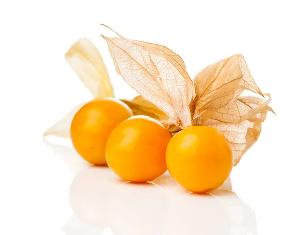 Physalis fruit on white background. Physalis is a genus of flowe — Stock Photo, Image