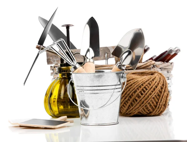 Garden tools with seedlings vegetable, on a white background — Stock Photo, Image