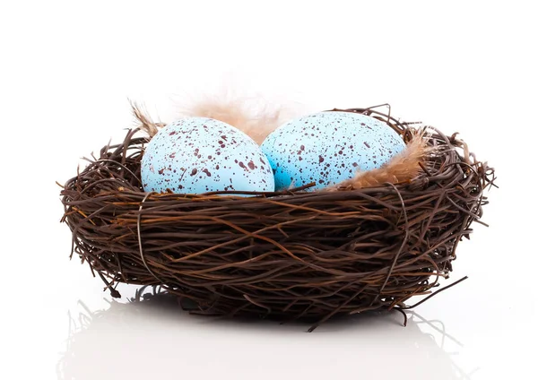 Eggs in birds nest isolated on white background — Stock Photo, Image