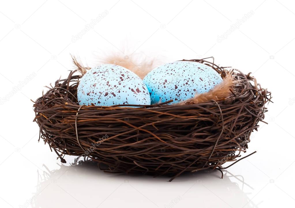 eggs in birds nest isolated on white background