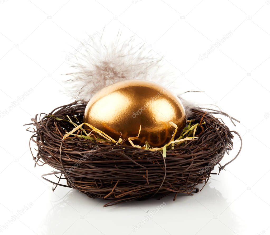 Golden egg in nest on white background