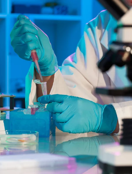 Cientista Detém Examina Amostras Laboratório — Fotografia de Stock