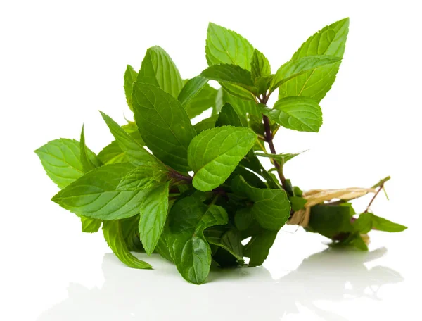 Fresh Bunch Peppermint White Background — Stock Photo, Image