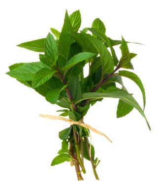 Beyaz arka planda taze nane şekeri.