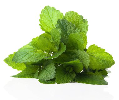 Beyaz arka planda bir demet limon merhemi.