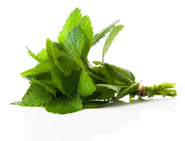 Fresh Bunch Lemon Balm White Background — Stock Photo, Image