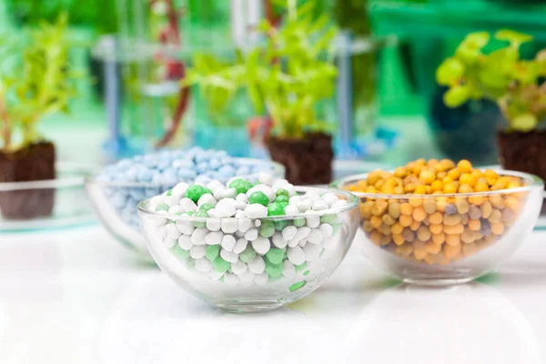 Nutrición Para Crecimiento Las Plantas Sobre Fondo Blanco — Foto de Stock