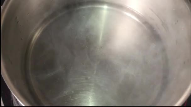 鍋に湯を沸かす 沸かす — ストック動画