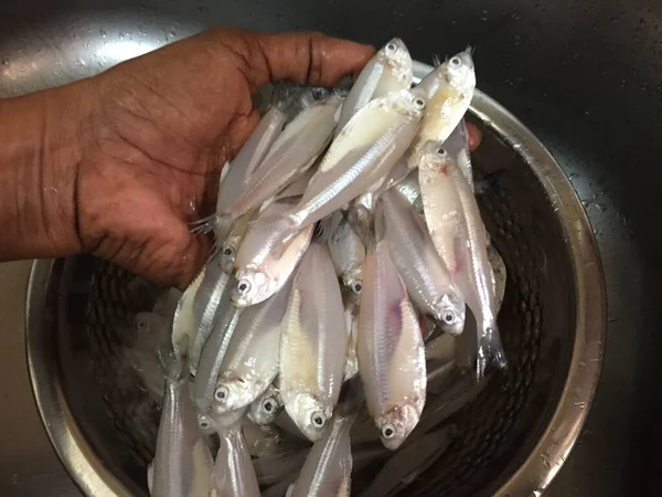 Fresh Small Fish Being Clean — Stock Photo, Image