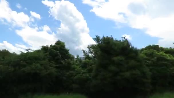 Vue Sur Nature South Island Nouvelle Zélande Pendant Saison Estivale — Video