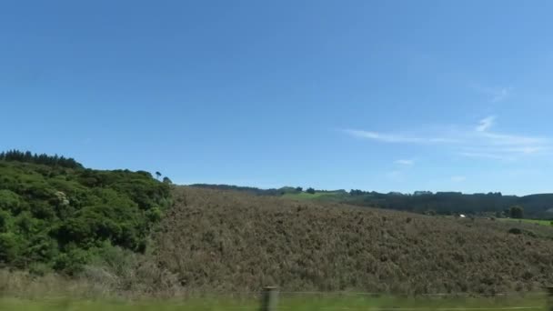 Blick Auf Die Natur Auf Südinsel Neuseeland Während Der Sommersaison — Stockvideo