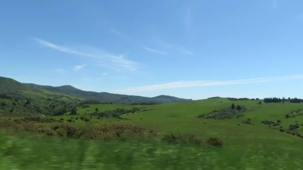 View Nature South Island New Zealand Summer Season View Moving — Stock Video