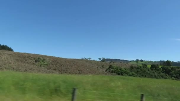 Vista Naturaleza South Island Nueva Zelanda Durante Temporada Verano Vista — Vídeos de Stock