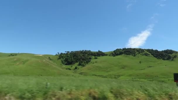Blick Auf Die Natur Auf Südinsel Neuseeland Während Der Sommersaison — Stockvideo