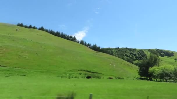 Blick Auf Die Natur Auf Südinsel Neuseeland Während Der Sommersaison — Stockvideo