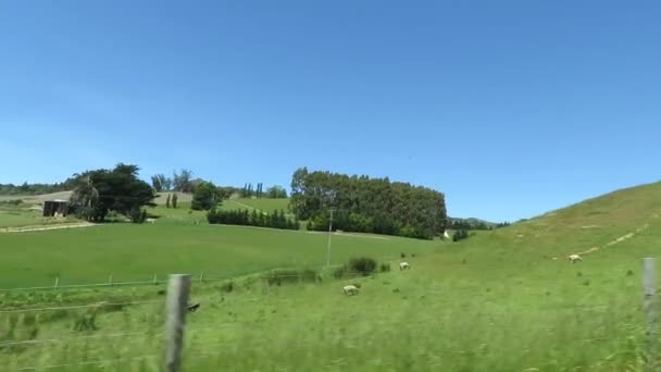 Güney Adası Yeni Zelanda Yaz Mevsiminde Doğa Manzarası Hareket Halindeki — Stok video