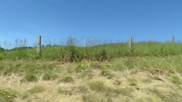 Vue sur la nature à South Island, Nouvelle-Zélande pendant la saison estivale, vue depuis une voiture en mouvement 