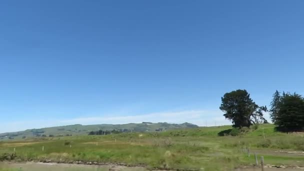 Güney Adası Yeni Zelanda Yaz Mevsiminde Doğa Manzarası Hareket Halindeki — Stok video