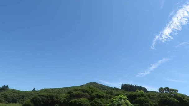 Vista Naturaleza South Island Nueva Zelanda Durante Temporada Verano Vista — Vídeos de Stock