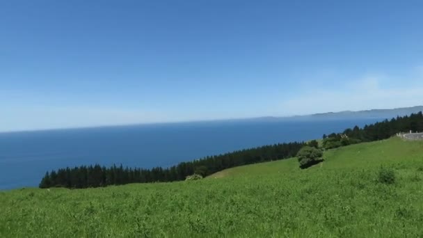 Manzara Karitane Nin Puketeraki Gözcüsü Nden Manzaralı Güzelliğiyle Yeni Zelanda — Stok video