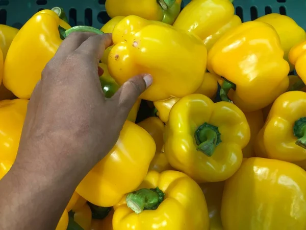 Ayrıca Capsicum olarak da bilinen taze işlenmemiş biberler.