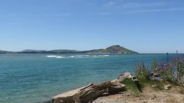 Ein Boot Segelt Strand Von Karitane Dünen Südinsel — Stockvideo