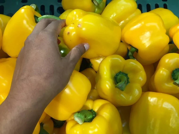 Pimentos Inteiros Não Cortados Capsicum — Fotografia de Stock