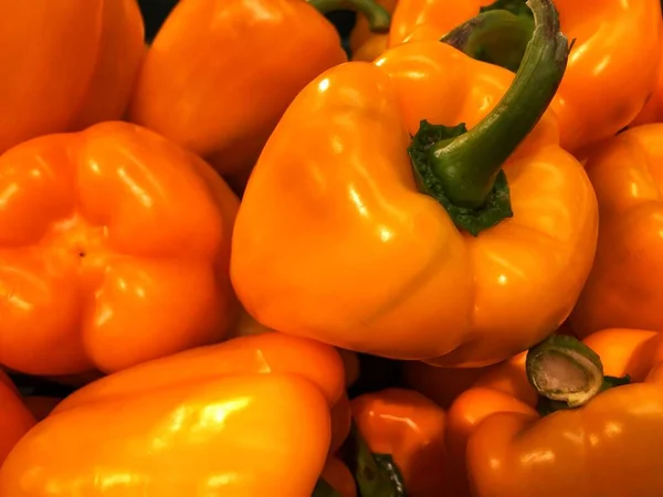 Fresh Uncut Peppers Capsicum — Stock Photo, Image