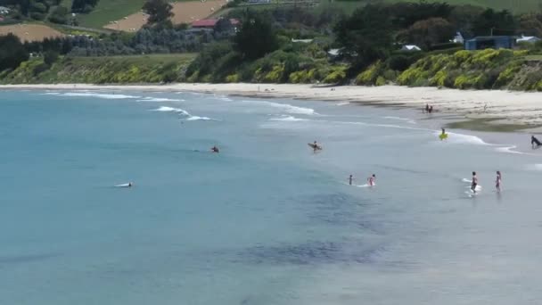 Vista Los Pies Las Piernas Frente Playa Karitane Dunedin Nueva — Vídeos de Stock