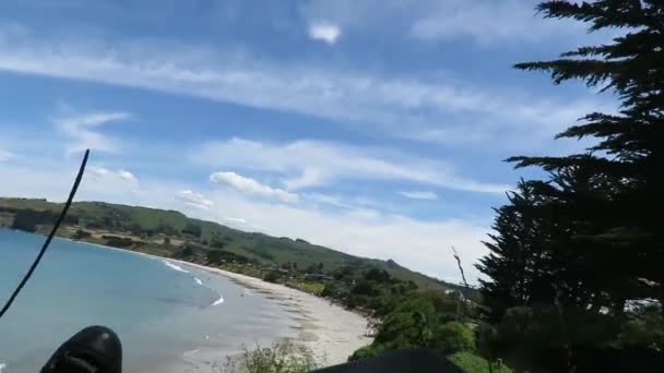 Utsikt Över Fötterna Benen Mot Karitane Beach Dunedin Nya Zeeland — Stockvideo