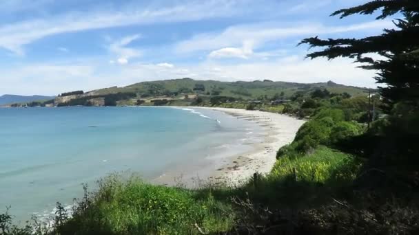 Vista Karitane Beach Dunedin Nueva Zelanda — Vídeo de stock