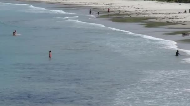 ニュージーランドのダンディーにあるKaritane Beachの眺め — ストック動画