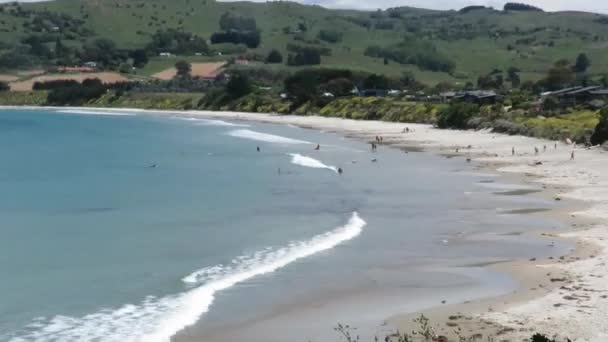 Dunedin Yeni Zelanda Daki Karitane Sahili — Stok video