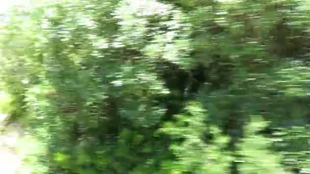 Vue de la plage karitane depuis la voiture 