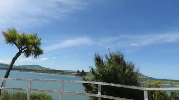 Utsikt Över Havet Från Bilen South Island Nya Zeeland — Stockvideo