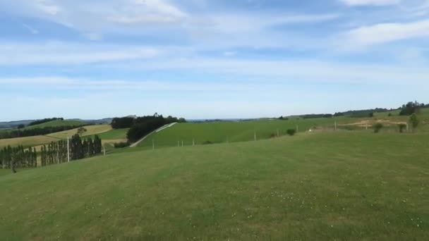 Ein Weites Hügelgebiet Neuseeland — Stockvideo