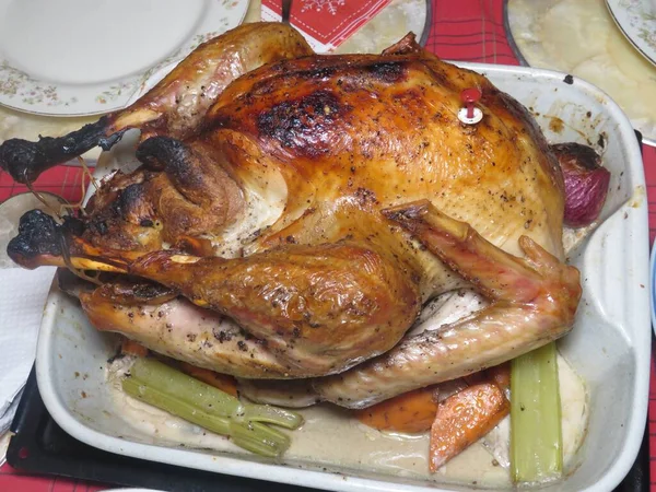 Noel veya Şükran Günü için kızarmış hindi