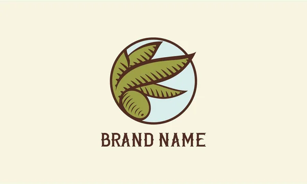 Design Logotipo Azeitona Criado Estilo Vintage Tradicional — Vetor de Stock