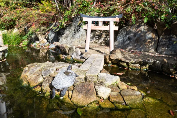 Tortue au temple japonais — Photo